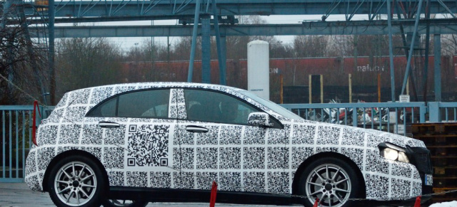 Erlkönig? Was ist das?: Getarnte Autos auf den Straßen der Welt - von der Wüste über Berge bis hin zum Polarkreis