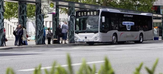 Es kann  nur einen geben: Mercedes Citaro siegt beim International Bus Competition  : Sternstunde beim Stress-Test für Stadtbusse