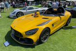 Gartenparty mit 100.000 PS: The Quail - mehr als nur Rahmenprogram für den Pebble Beach Concours D'Elegance.: Amerika-Debut für die Bussink GT Speedlegend!