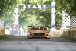 Highlights: Sternstunden des Goodwood Festival of Speed 2014: Hommage an 120 Jahre Mercedes-Benz Motorsport 