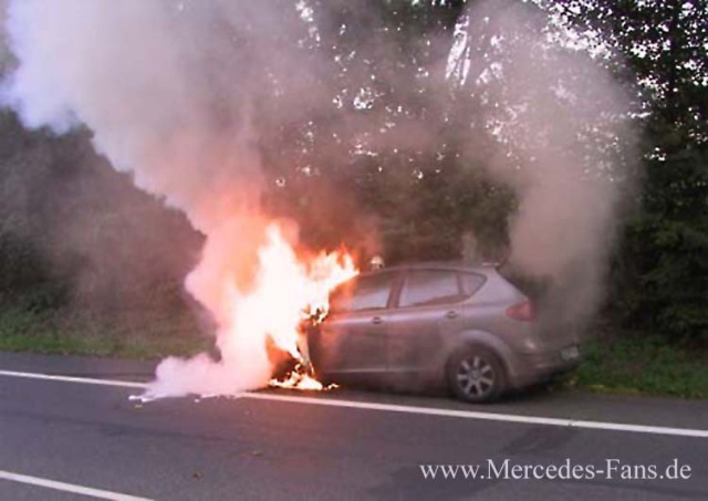 Na Endlich Politik Macht Sich Daimler Warnung Vor Entflammbarem